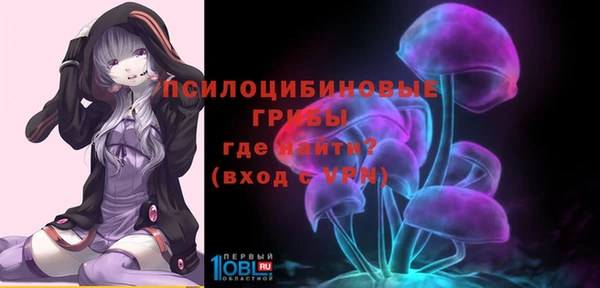ГАЛЛЮЦИНОГЕННЫЕ ГРИБЫ Михайловка