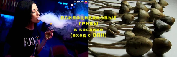 ешки Шали