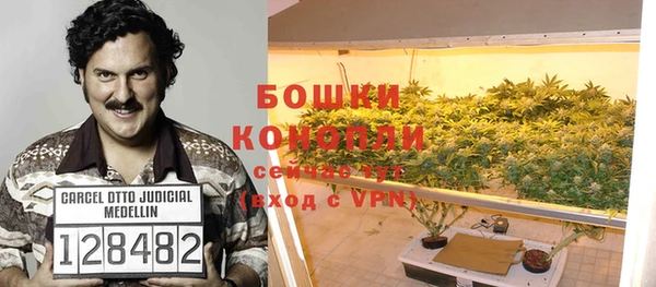 ГАЛЛЮЦИНОГЕННЫЕ ГРИБЫ Михайловка