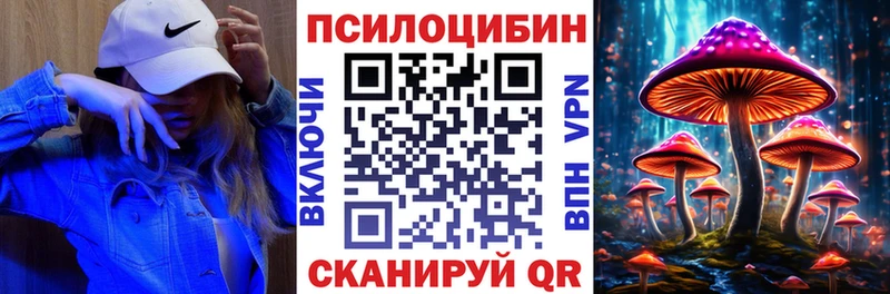 Галлюциногенные грибы мицелий blacksprut маркетплейс Порхов дарк нет официальный сайт что такое наркотик